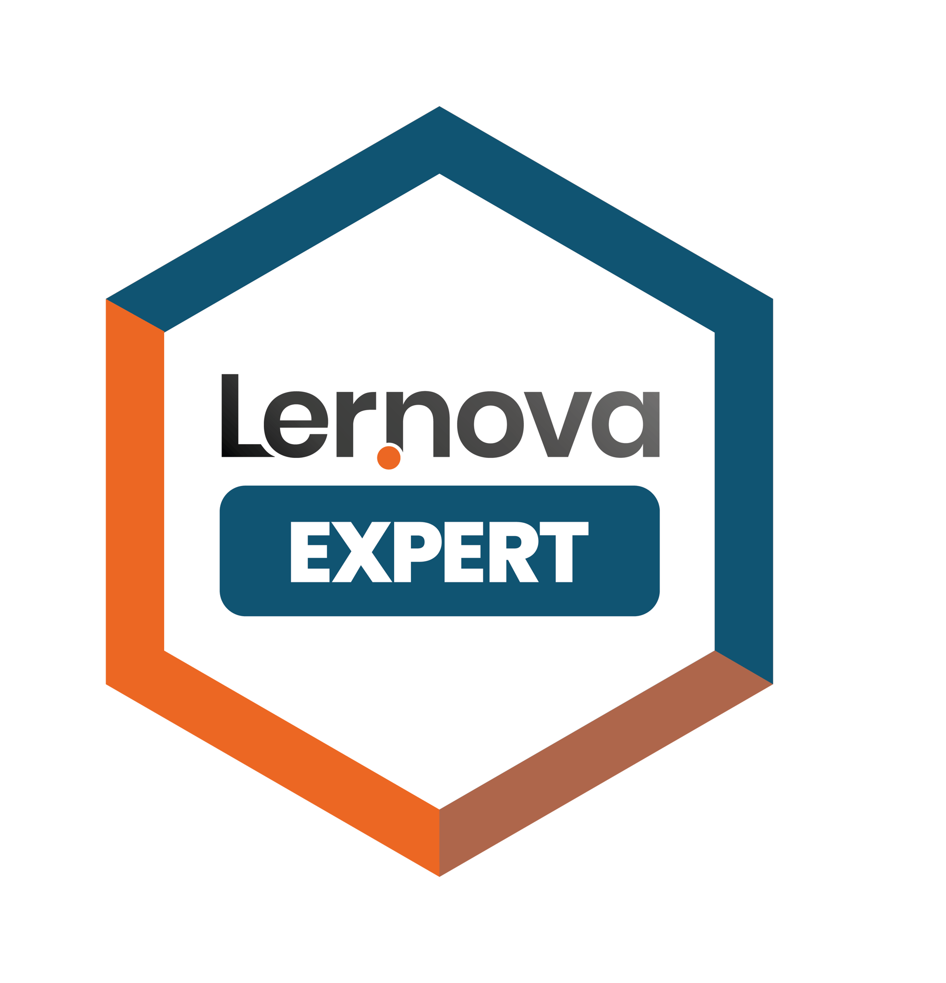 Logo Lernova Expert full Logo Lernova Expert full